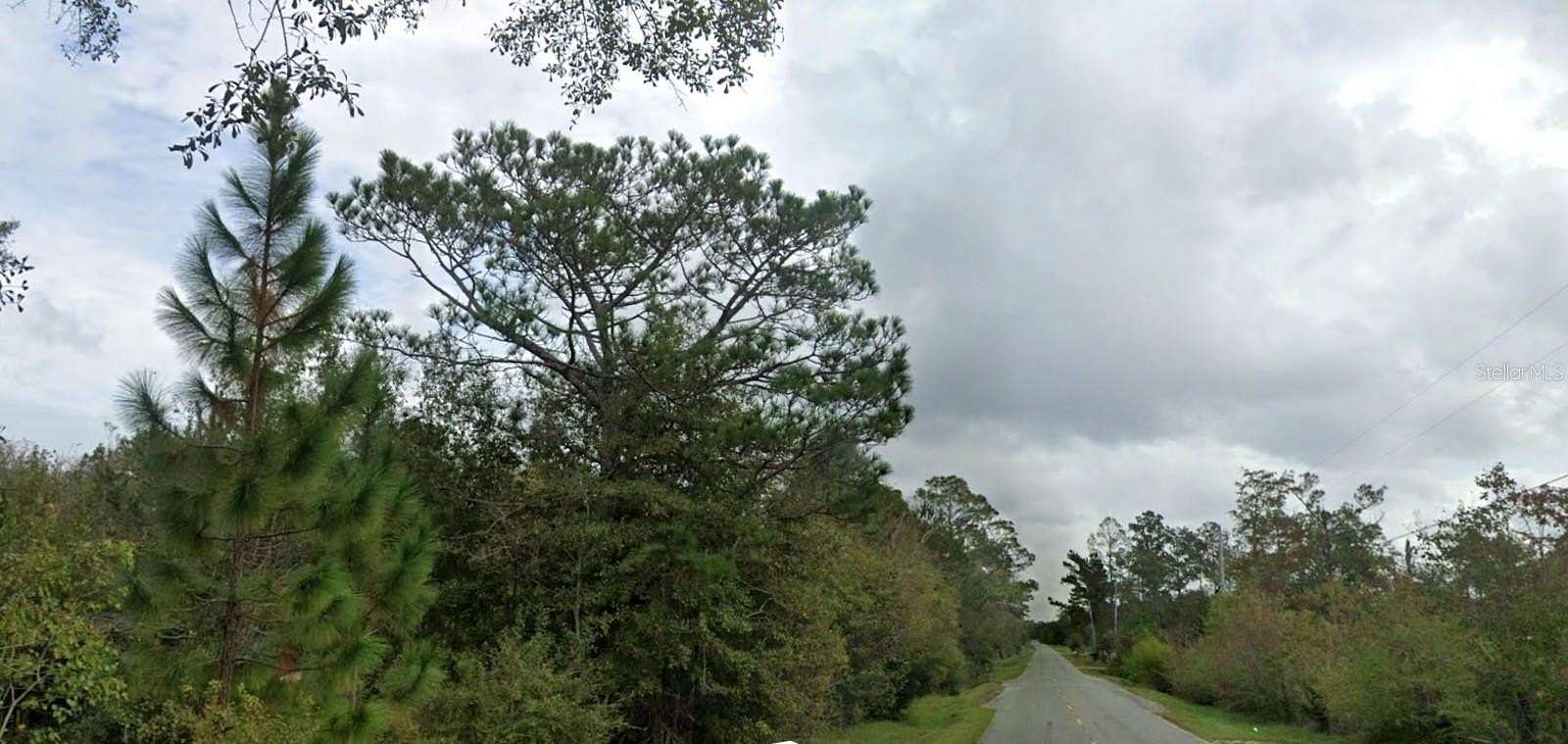 34.5 Acres of Land for Sale in Chipley, Florida