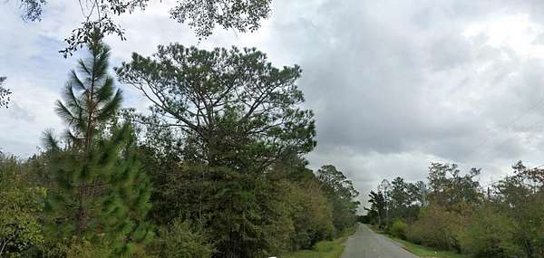 34.5 Acres of Land for Sale in Chipley, Florida