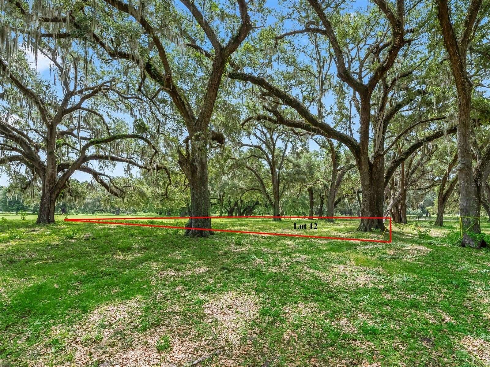 0.66 Acres of Residential Land for Sale in Bushnell, Florida