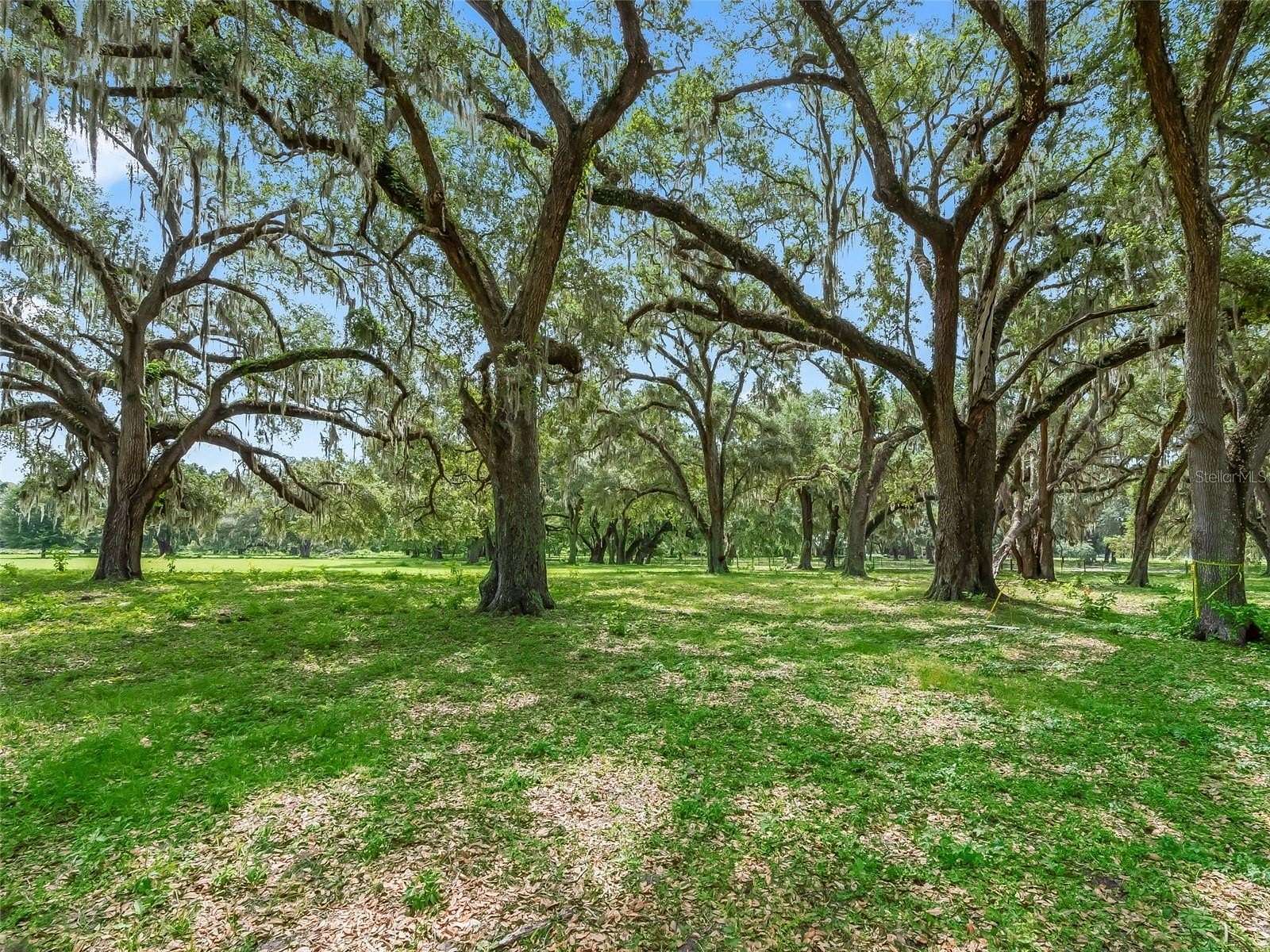 0.66 Acres of Residential Land for Sale in Bushnell, Florida