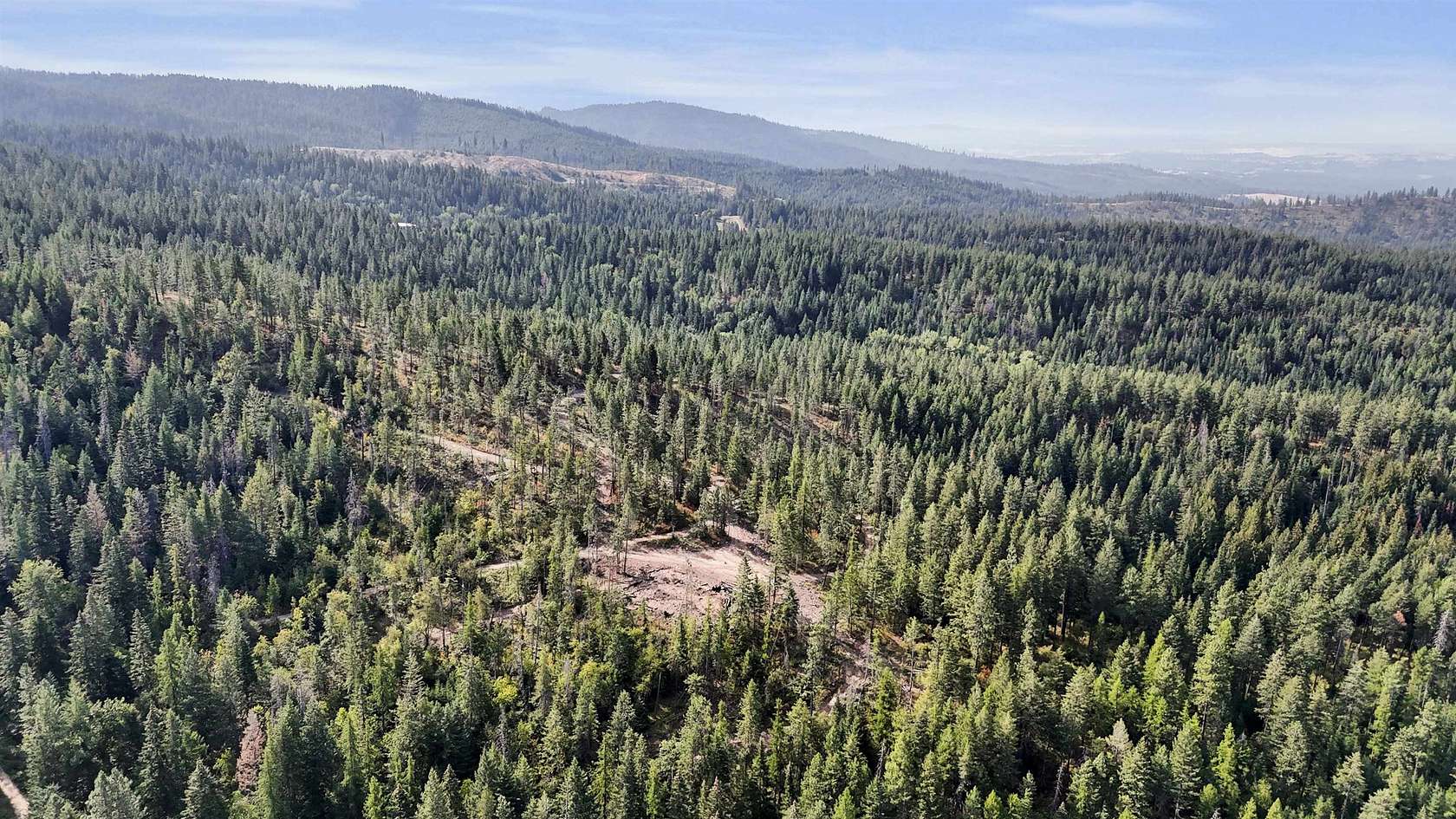 5 Acres of Land for Sale in Chattaroy, Washington