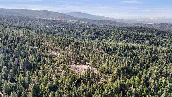 5 Acres of Land for Sale in Chattaroy, Washington