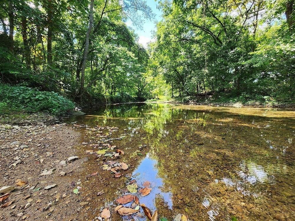 156 Acres of Land for Sale in Lafayette, Tennessee