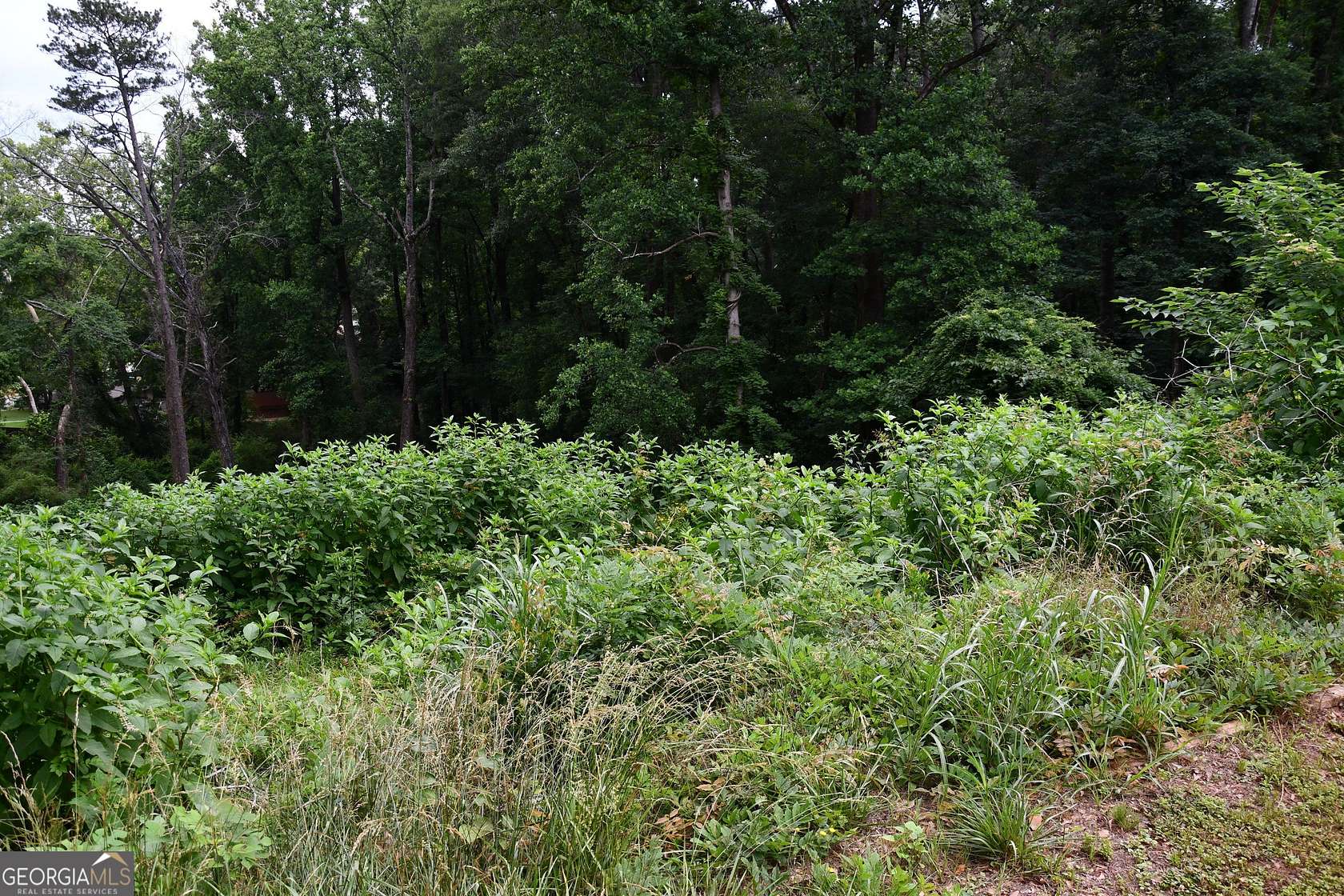 0.35 Acres of Mixed-Use Land for Sale in Lithonia, Georgia