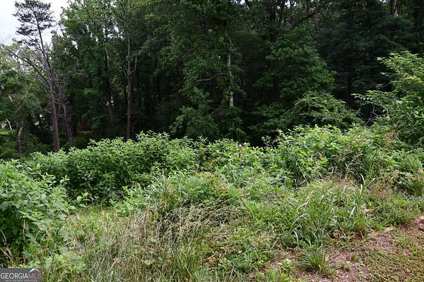0.35 Acres of Mixed-Use Land for Sale in Lithonia, Georgia