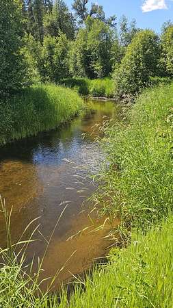 20 Acres of Recreational & Residential Land for Sale in Colville, Washington