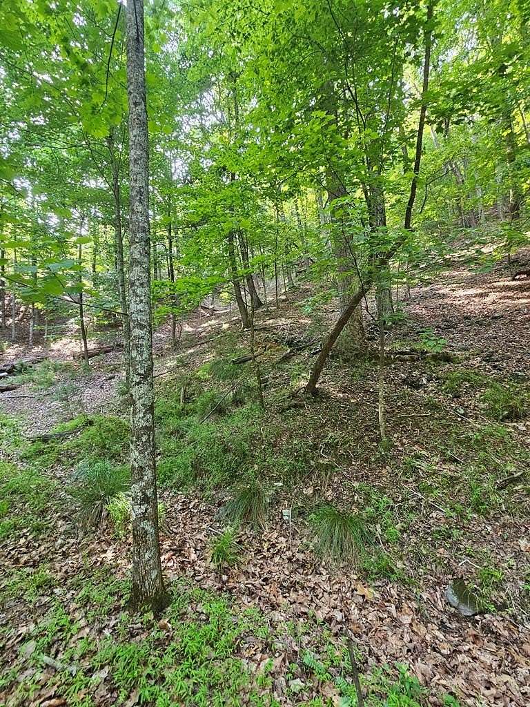 0.78 Acres of Residential Land for Sale in Jasper, Georgia