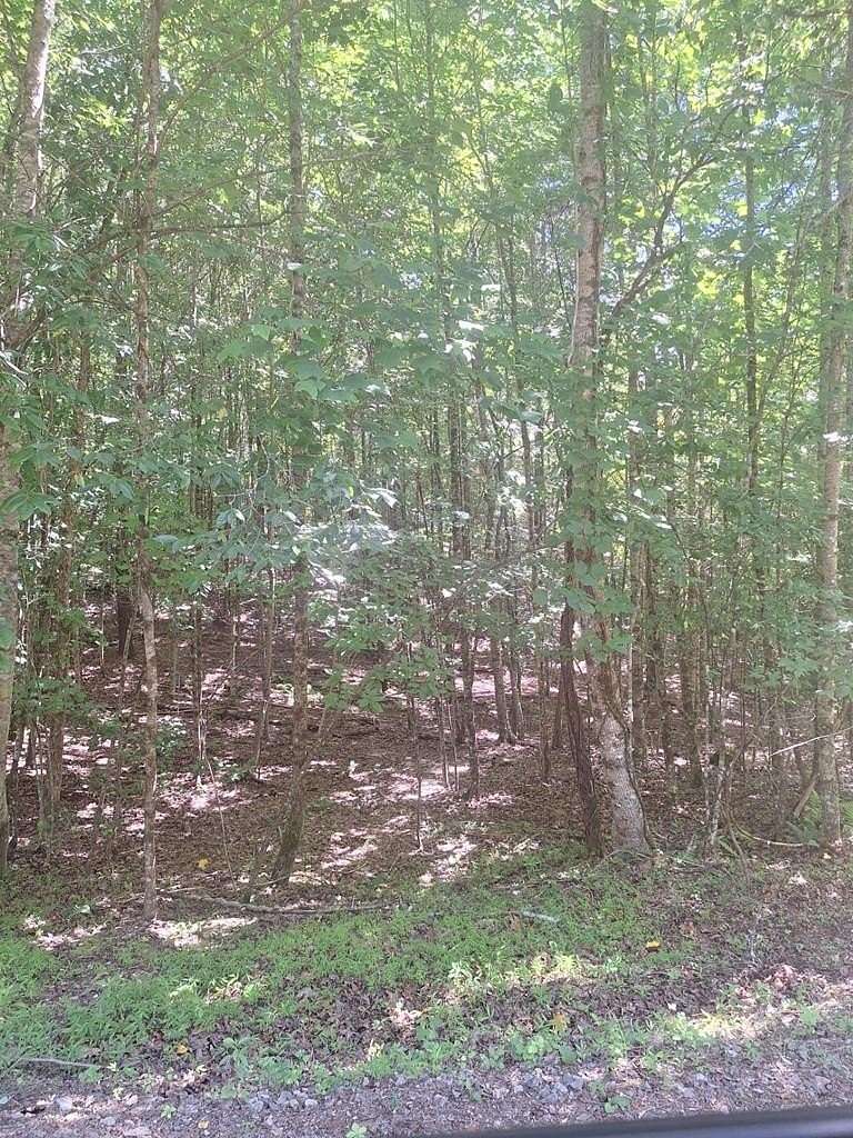 2.25 Acres of Residential Land for Sale in Morganton, Georgia