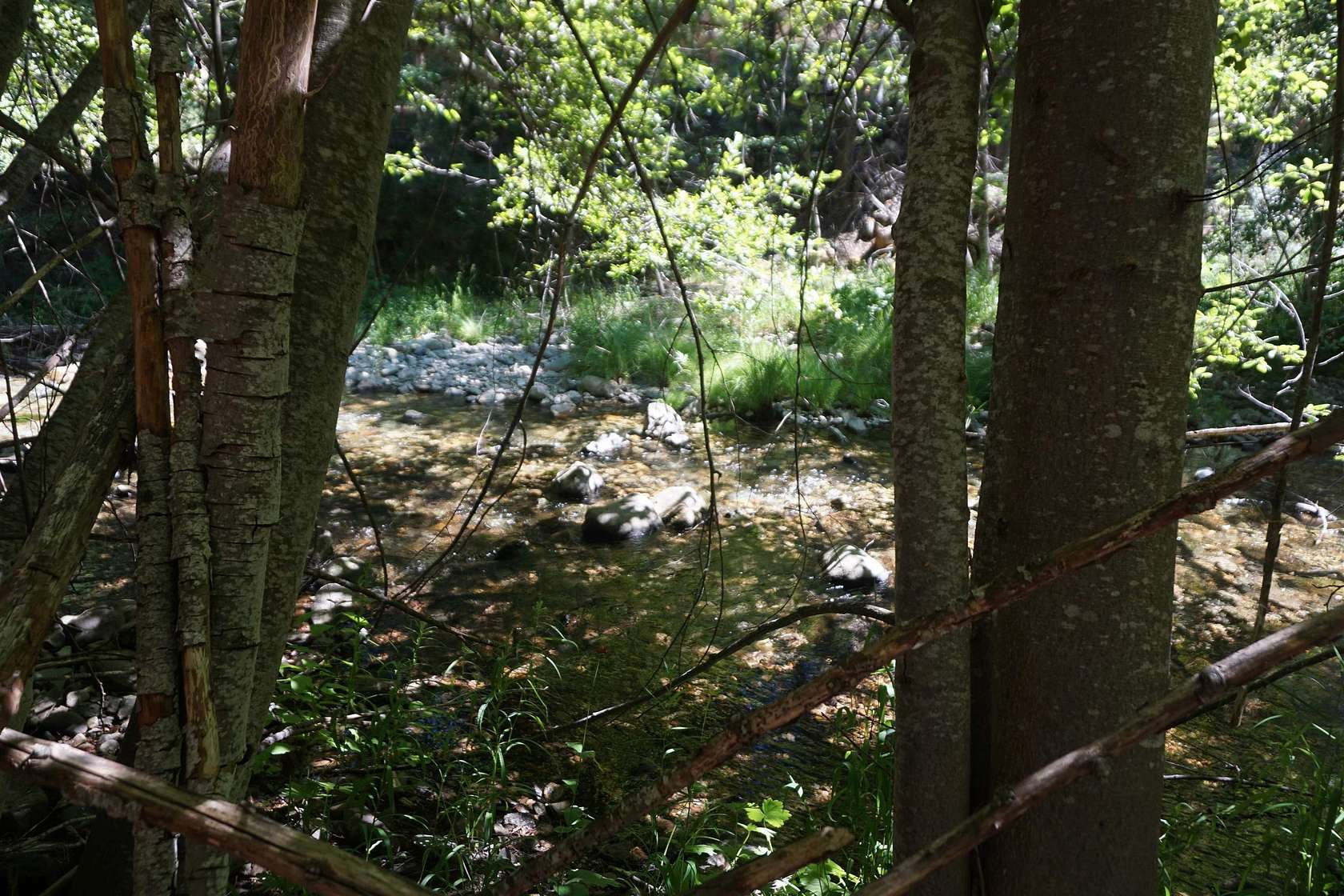 1 Acre of Land for Sale in Meadow Valley, California