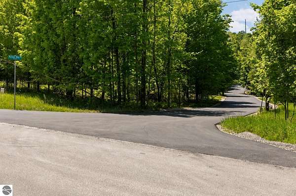 6 Acres of Land for Sale in Rapid City, Michigan