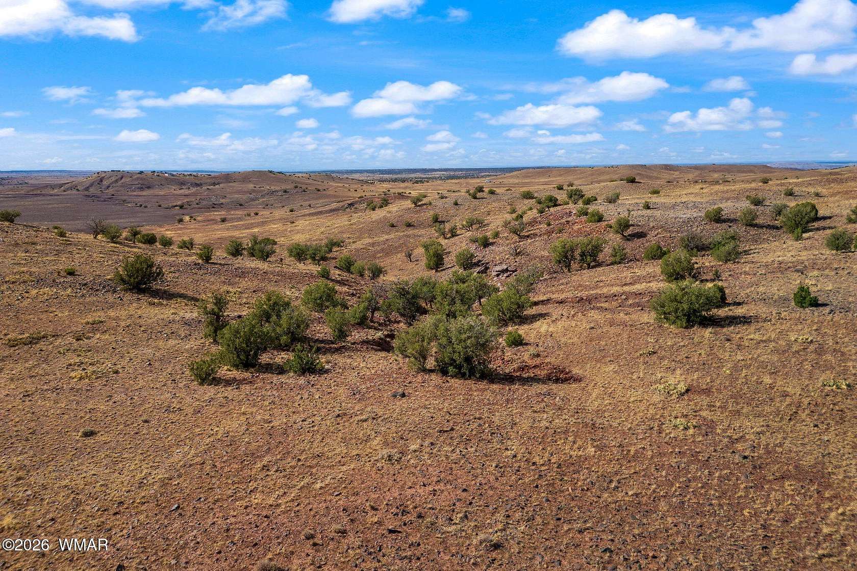 44 Acres of Recreational & Residential Land for Sale in Concho, Arizona