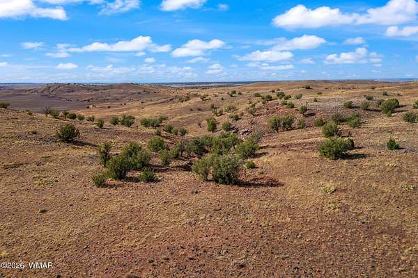 44 Acres of Recreational & Residential Land for Sale in Concho, Arizona