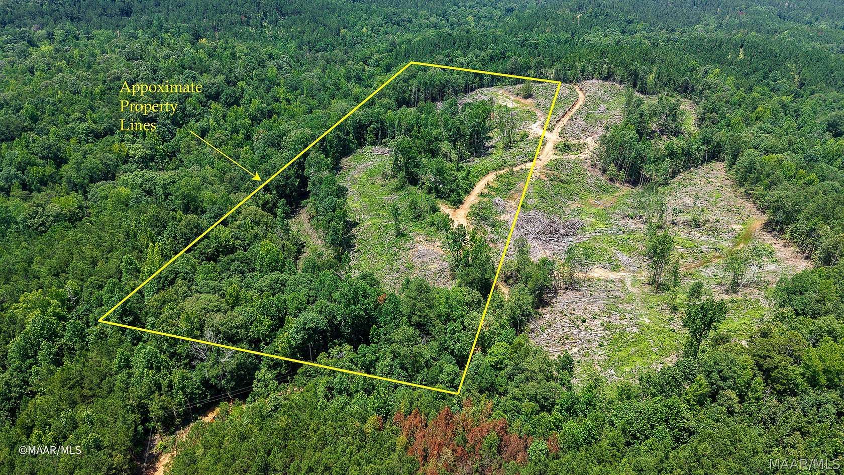 11.8 Acres of Recreational & Residential Land for Sale in Thomasville, Alabama