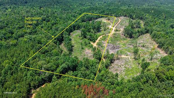 11.8 Acres of Recreational & Residential Land for Sale in Thomasville, Alabama