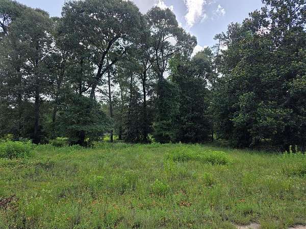 1.53 Acres of Residential Land for Sale in Jasper, Texas