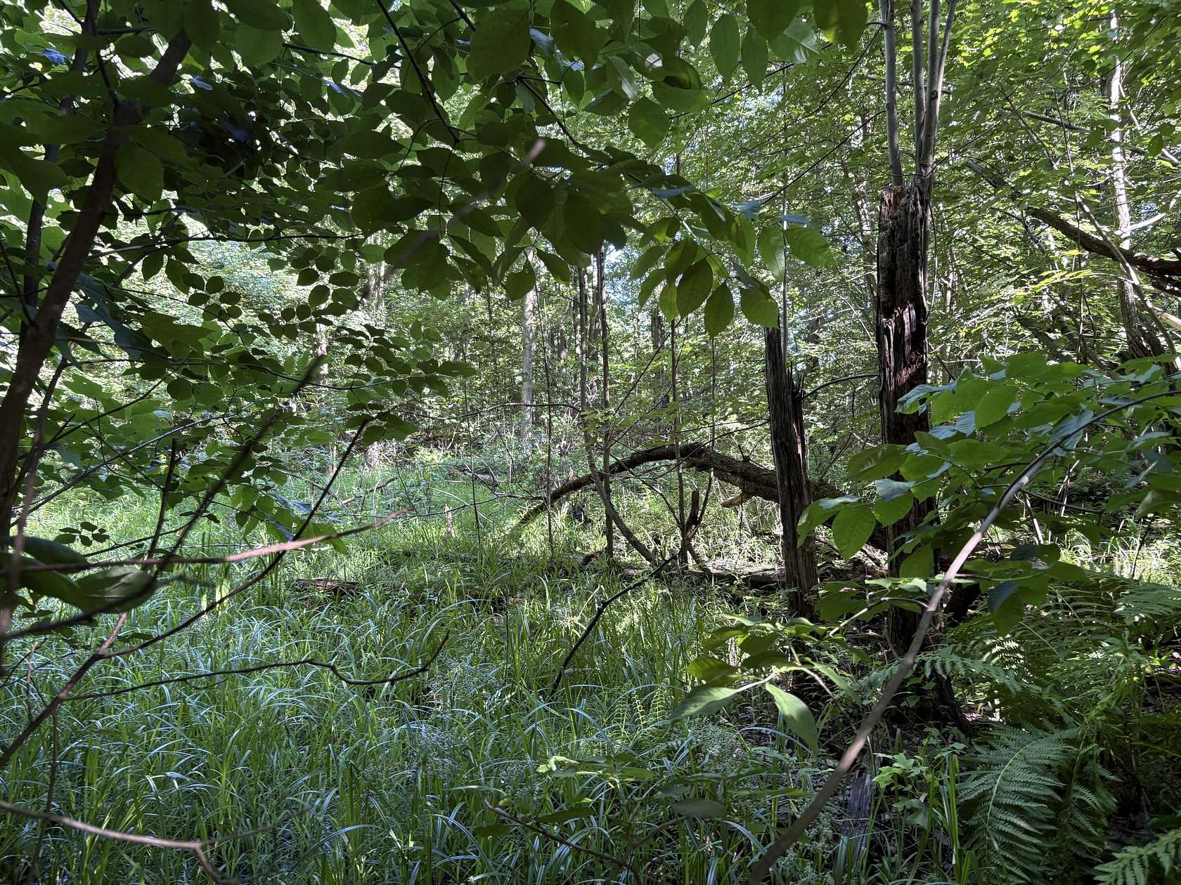 3 Acres of Land for Sale in Allegan, Michigan