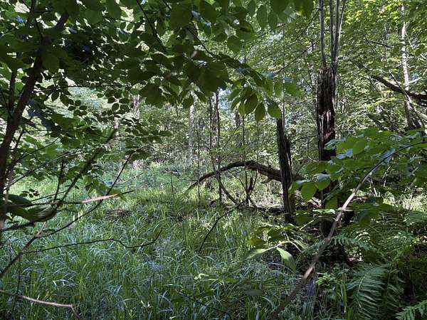 3 Acres of Land for Sale in Allegan, Michigan