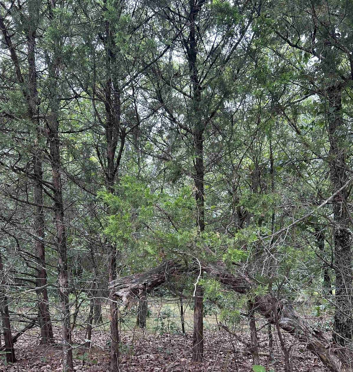 4.36 Acres of Land for Sale in Conway, Arkansas