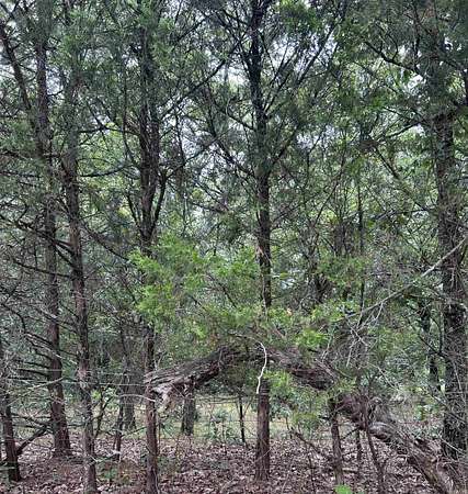 4.36 Acres of Land for Sale in Conway, Arkansas
