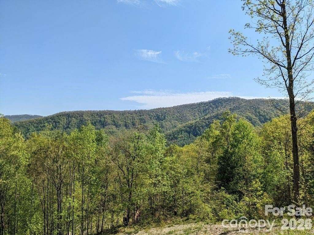 3.14 Acres of Land for Sale in Black Mountain, North Carolina