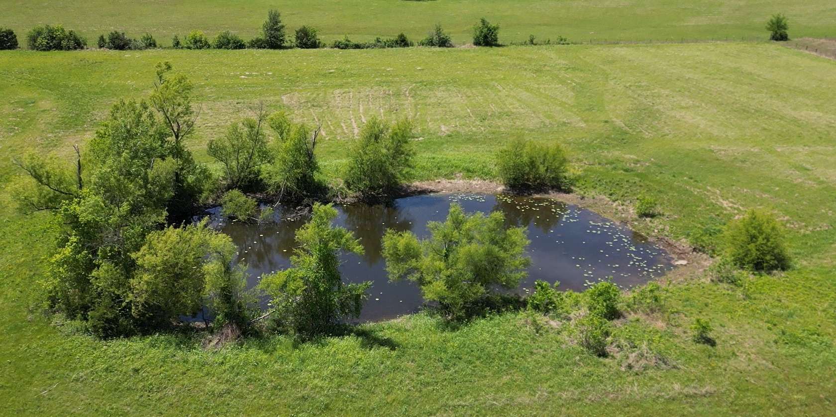 19.3 Acres of Land for Sale in Paris, Texas