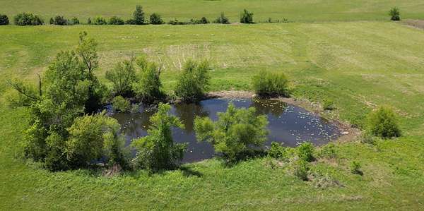 19.3 Acres of Land for Sale in Paris, Texas
