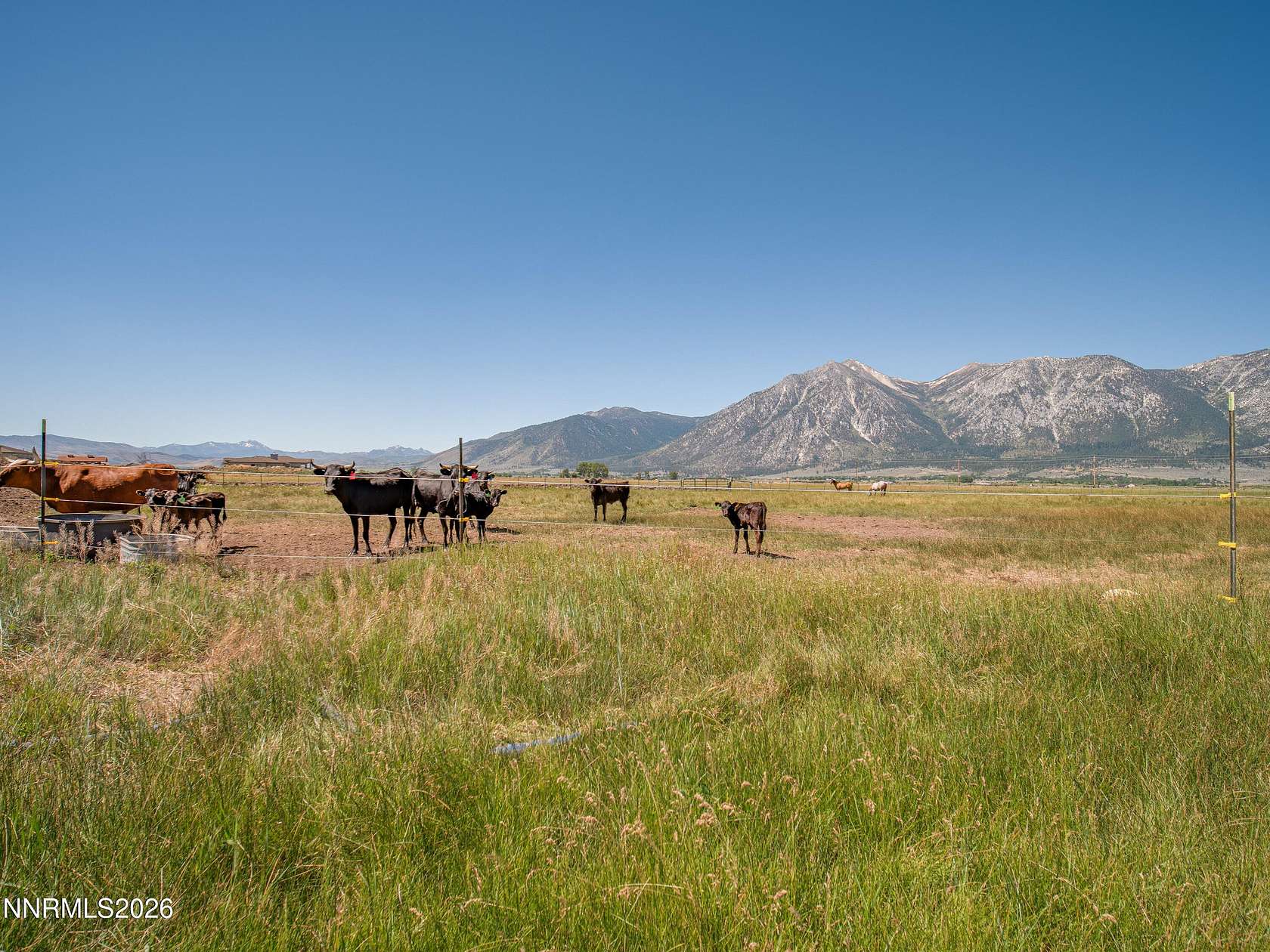 19 Acres of Land for Sale in Gardnerville, Nevada