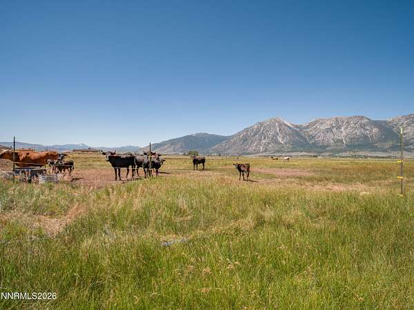 19 Acres of Land for Sale in Gardnerville, Nevada