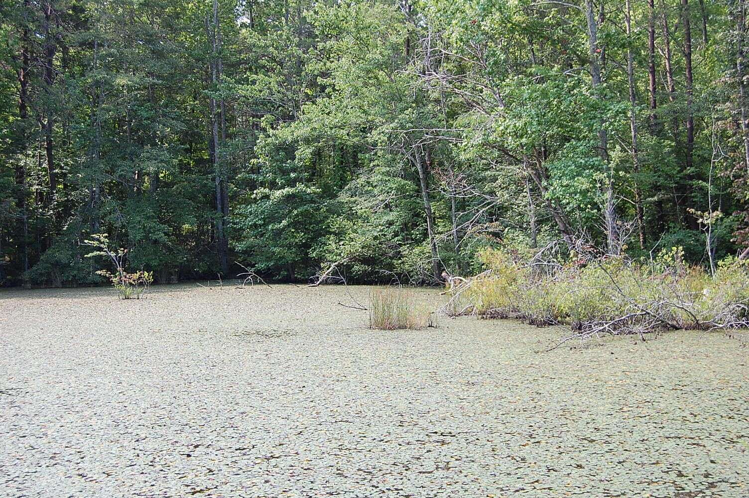 0.59 Acres of Land for Sale in Pikeville, Tennessee