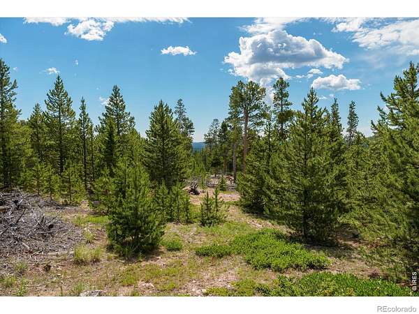 16.2 Acres of Land for Sale in Red Feather Lakes, Colorado