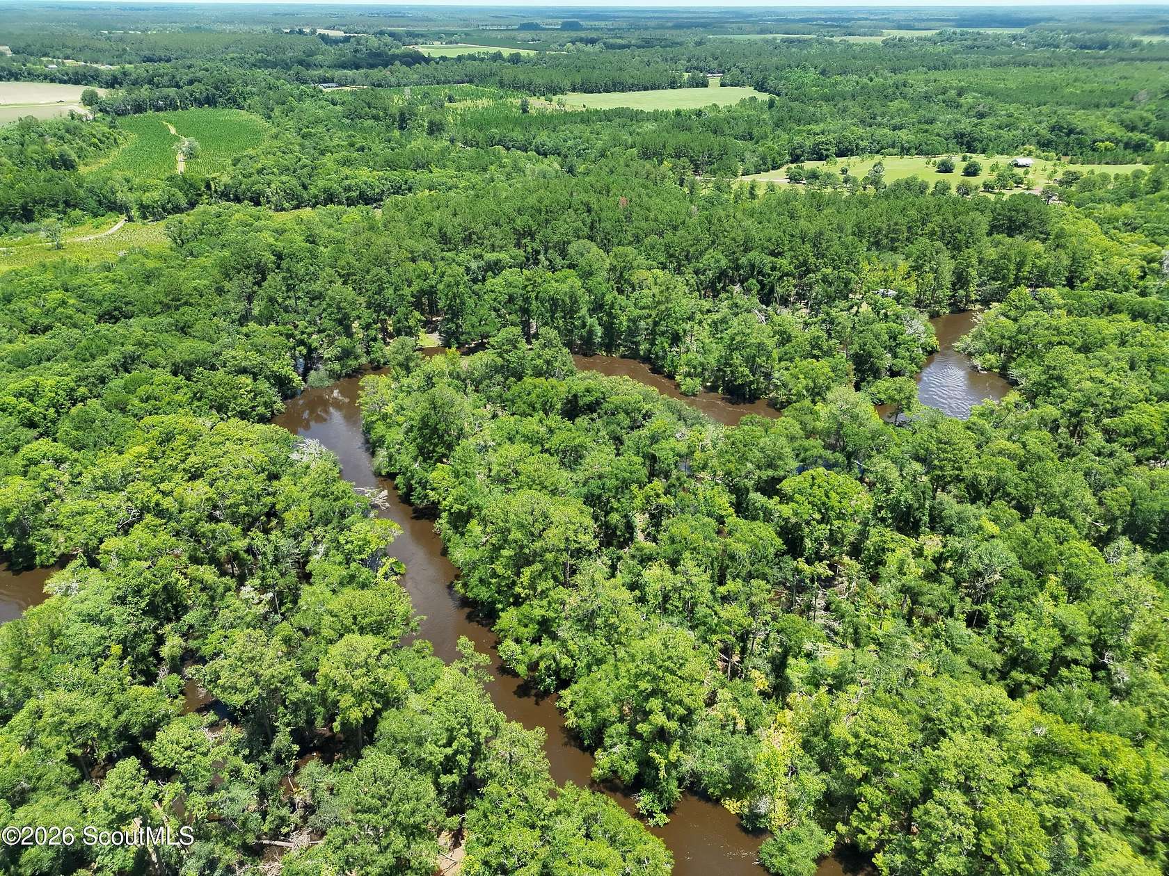 10 Acres of Recreational Land for Sale in Waycross, Georgia