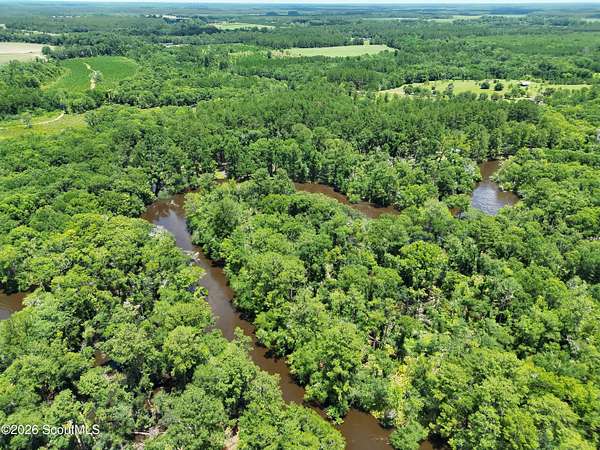 10 Acres of Recreational Land for Sale in Waycross, Georgia