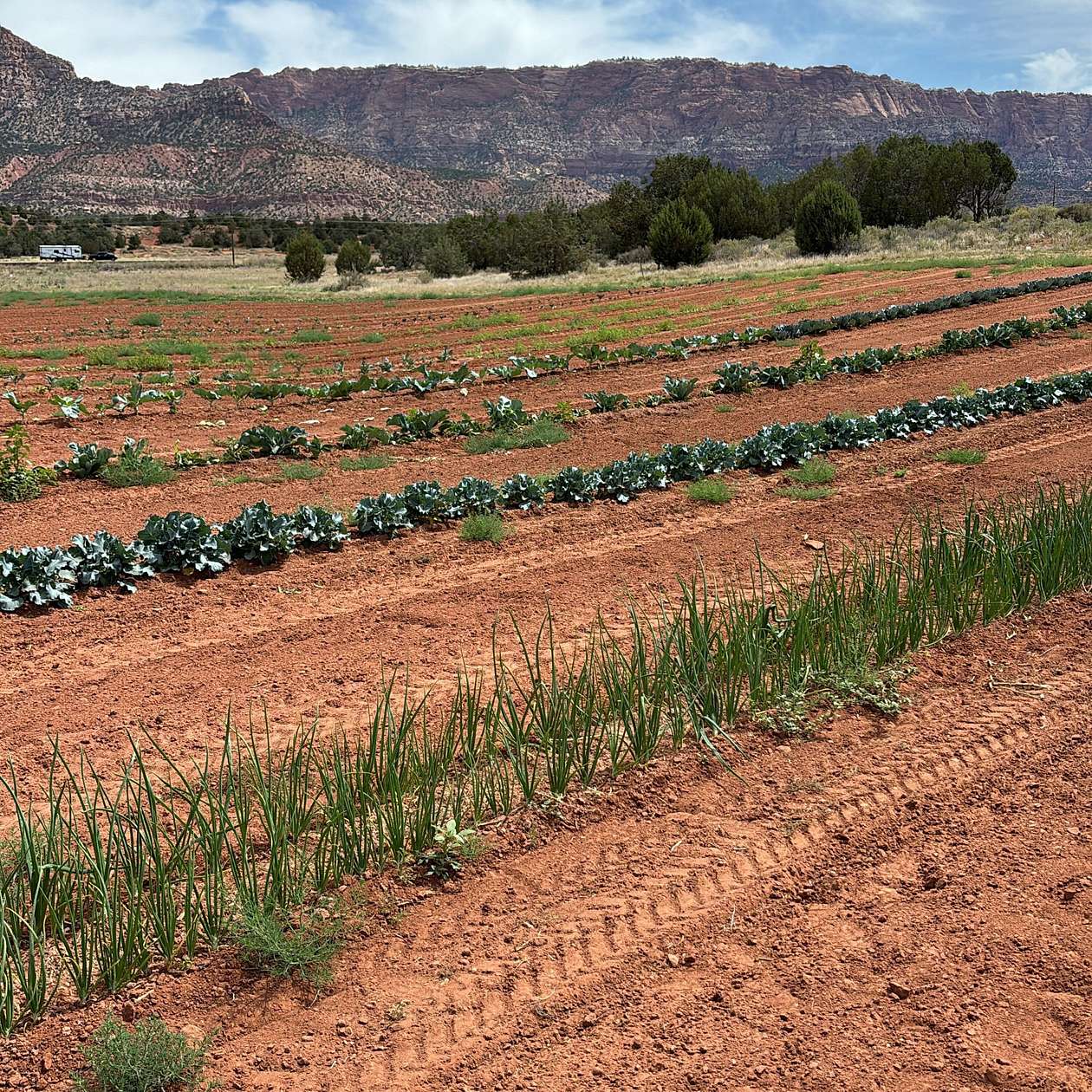 31 Acres of Agricultural Land for Sale in Apple Valley, Utah