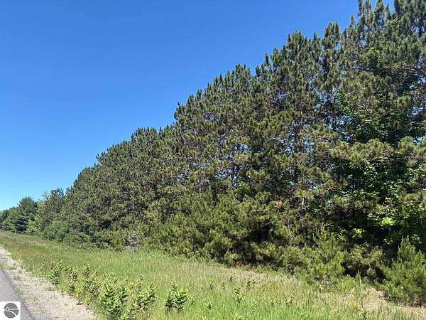 8 Acres of Residential Land for Sale in Bear Lake, Michigan