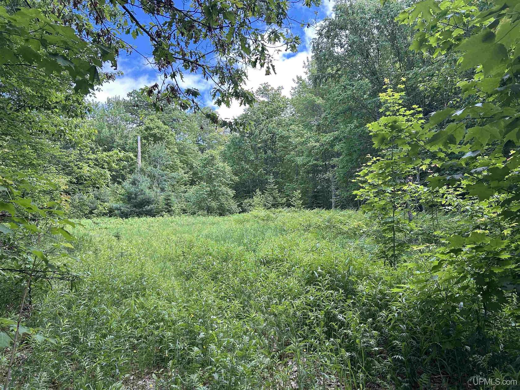 10 Acres of Recreational Land for Sale in Skandia, Michigan