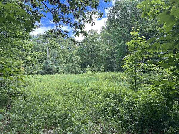 10 Acres of Recreational Land for Sale in Skandia, Michigan