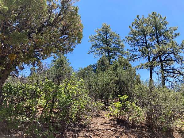 1.5 Acres of Residential Land for Sale in Chama, New Mexico