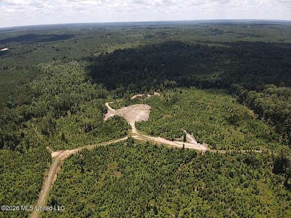 222 Acres of Land for Sale in Crosby, Mississippi
