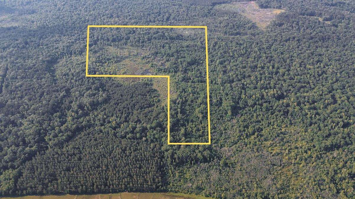 72 Acres of Land for Sale in Chatham, Louisiana