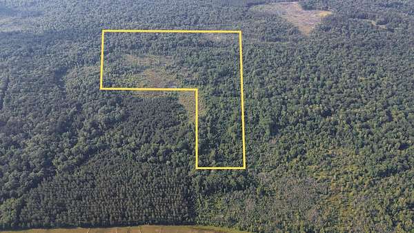 72 Acres of Land for Sale in Chatham, Louisiana