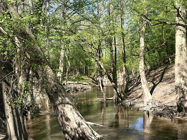 95.4 Acres of Land for Sale in Camden, Arkansas