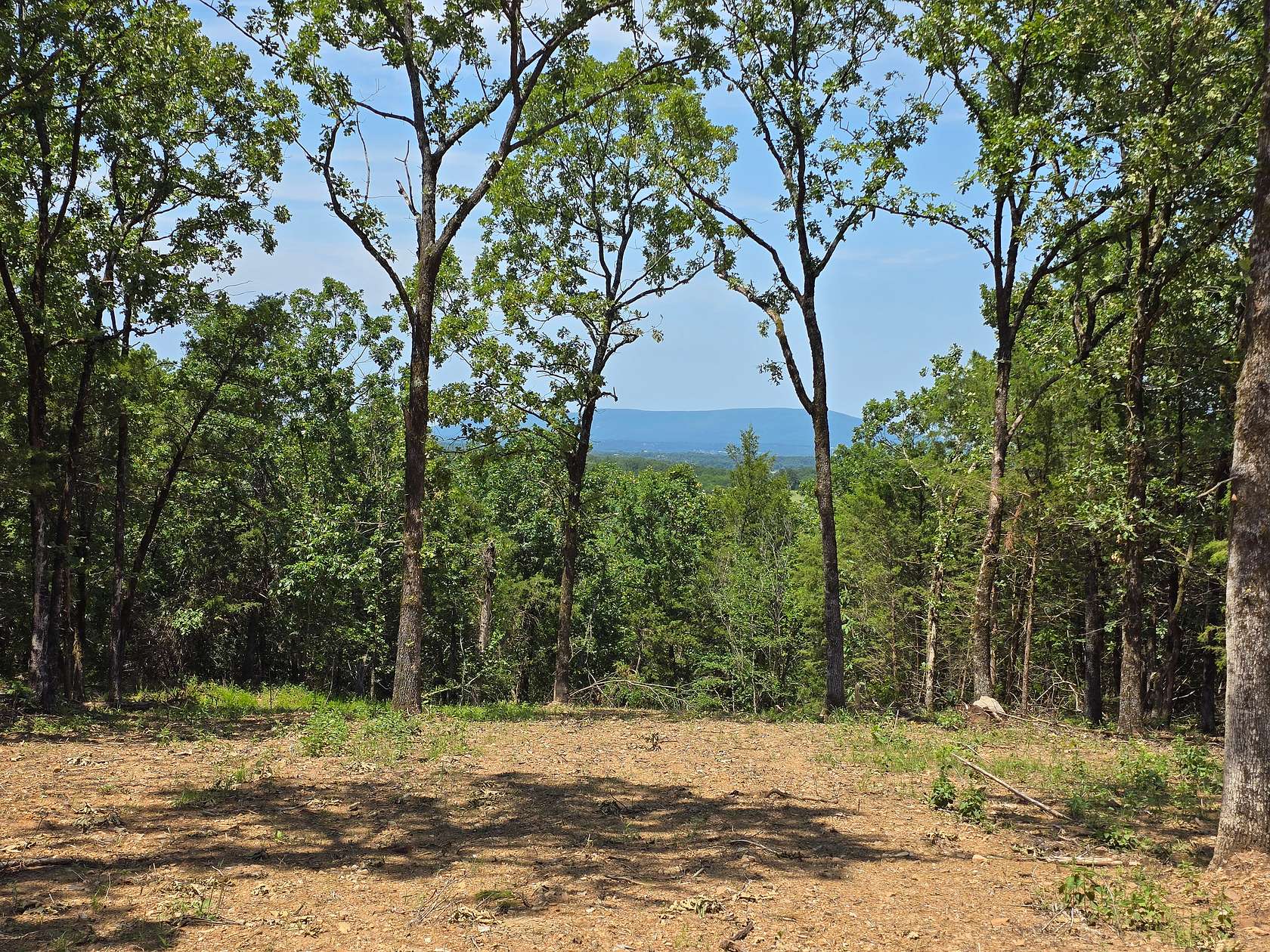 41.8 Acres of Land for Sale in Heavener, Oklahoma
