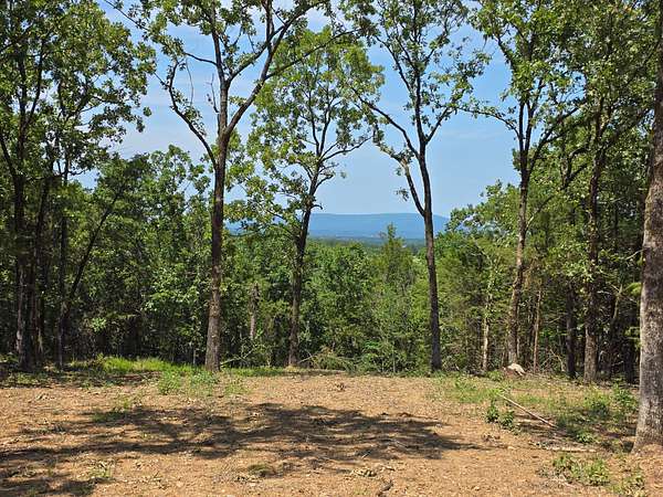 41.8 Acres of Land for Sale in Heavener, Oklahoma