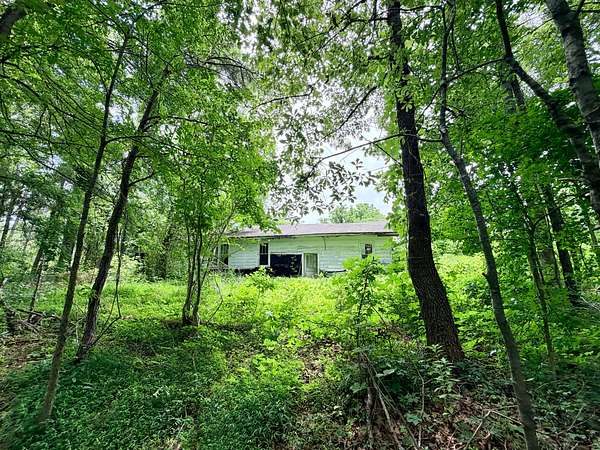 69.9 Acres of Land for Sale in Rienzi, Mississippi