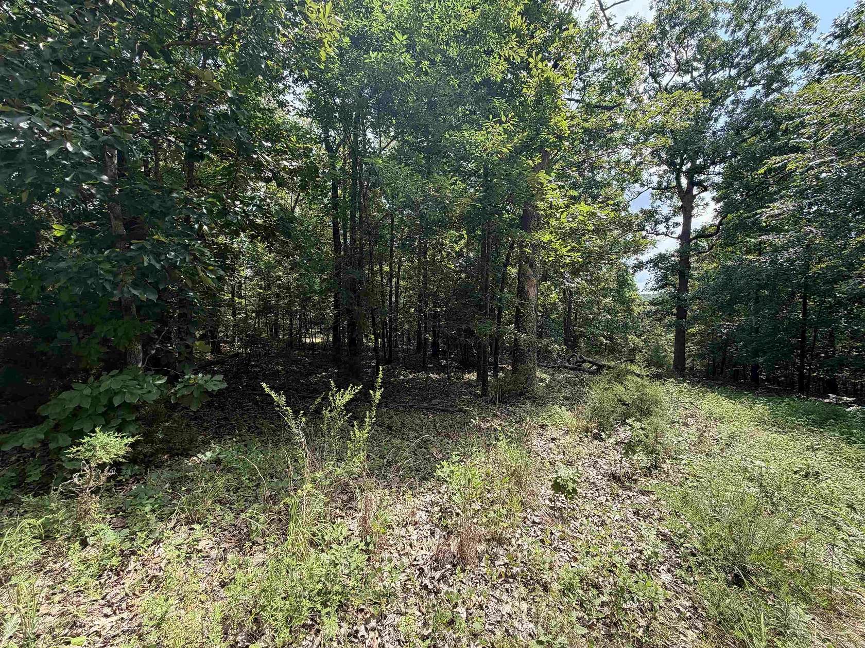 0.36 Acres of Land for Sale in Cherokee Village, Arkansas