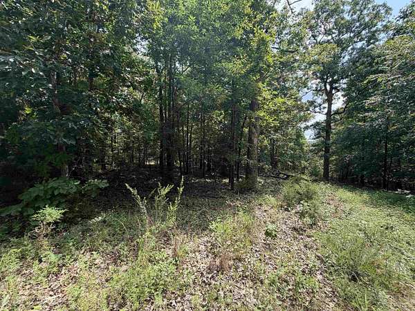 0.36 Acres of Land for Sale in Cherokee Village, Arkansas