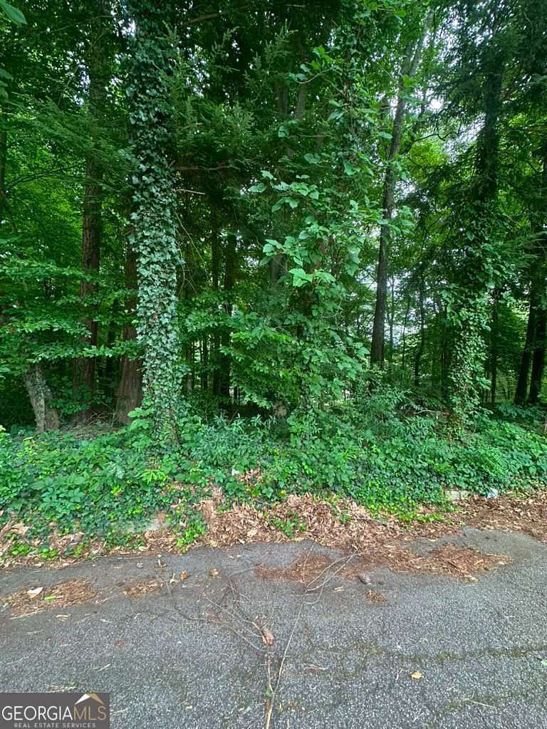 0.5 Acres of Residential Land for Sale in Stone Mountain, Georgia