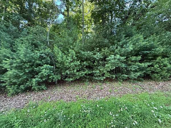 2.17 Acres of Land for Sale in Blairsville, Georgia