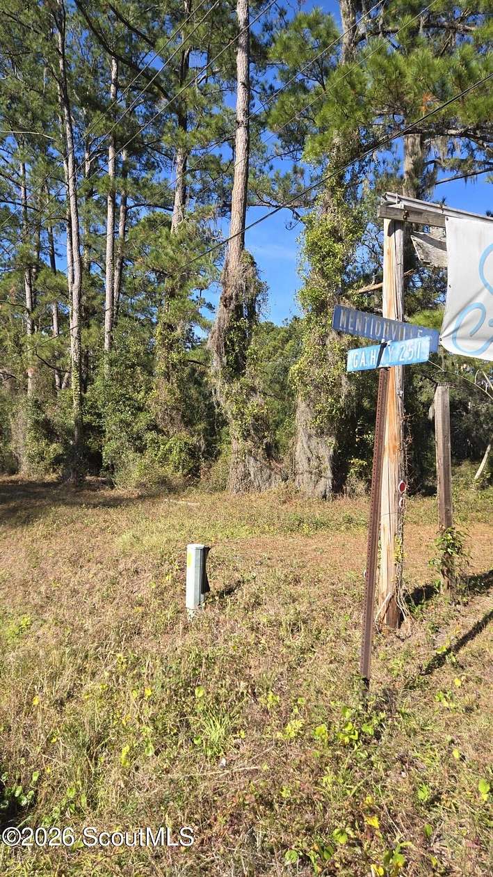 2.64 Acres of Residential Land for Sale in Darien, Georgia