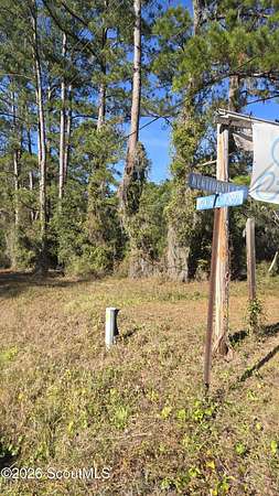 2.64 Acres of Residential Land for Sale in Darien, Georgia
